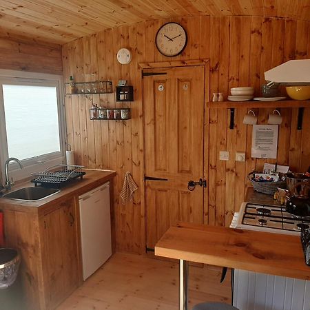 Anglesey New Modern Shepherds Hut With Spa Hot Tub Gwalchmai 외부 사진