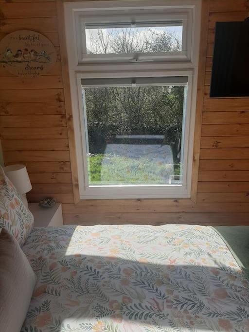 Anglesey New Modern Shepherds Hut With Spa Hot Tub Gwalchmai 외부 사진